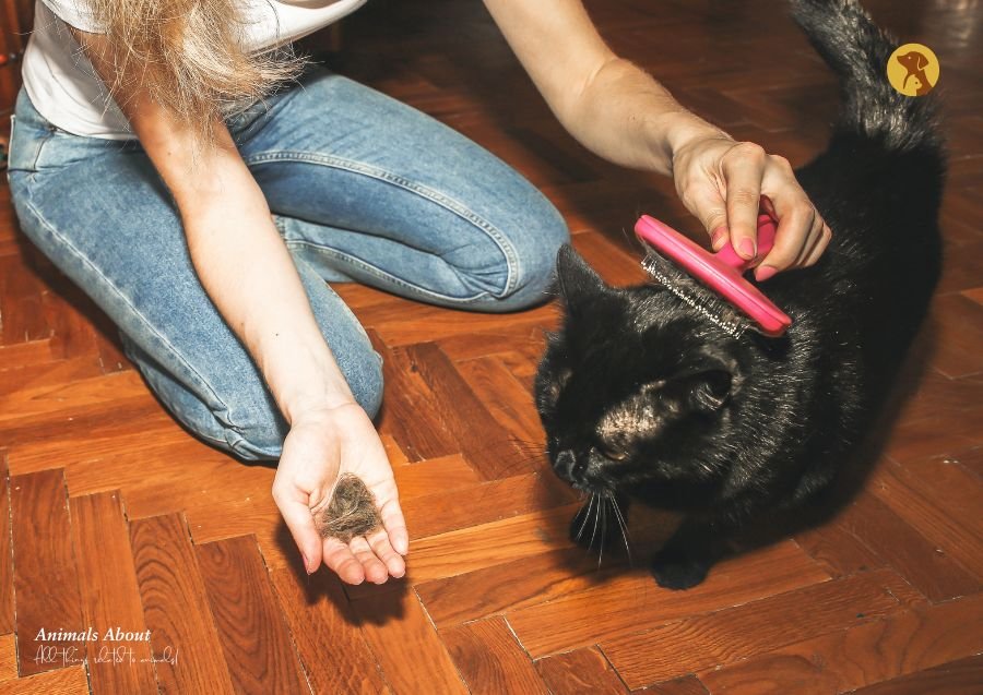 How To Stop Pets From Shedding Excessively