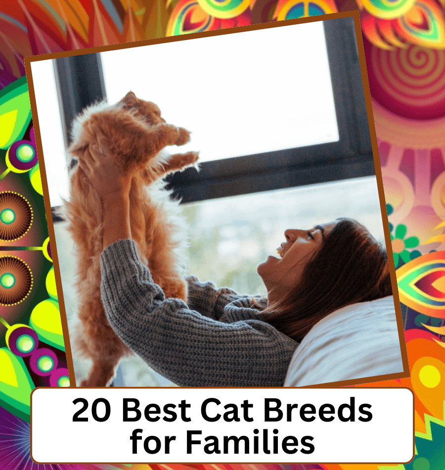 Animals About - All Things About Animals!