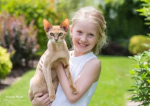 best cat breeds for families