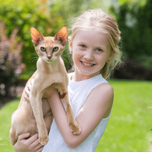 10 Best Cat Breeds for Families with Kids