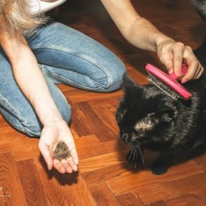 How To Stop Pets From Shedding Excessively