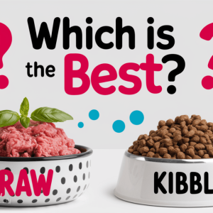 Raw vs Kibble Dog Food – What’s Best for Dogs?